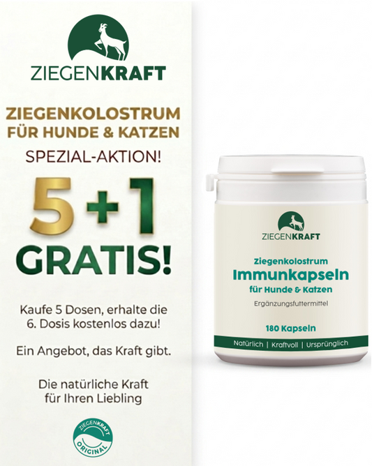 Ziegenkolostrum-Immunkapseln für Hunde & Katzen 180 Kapseln 6er Vorteilspaket (5+1 gratis)